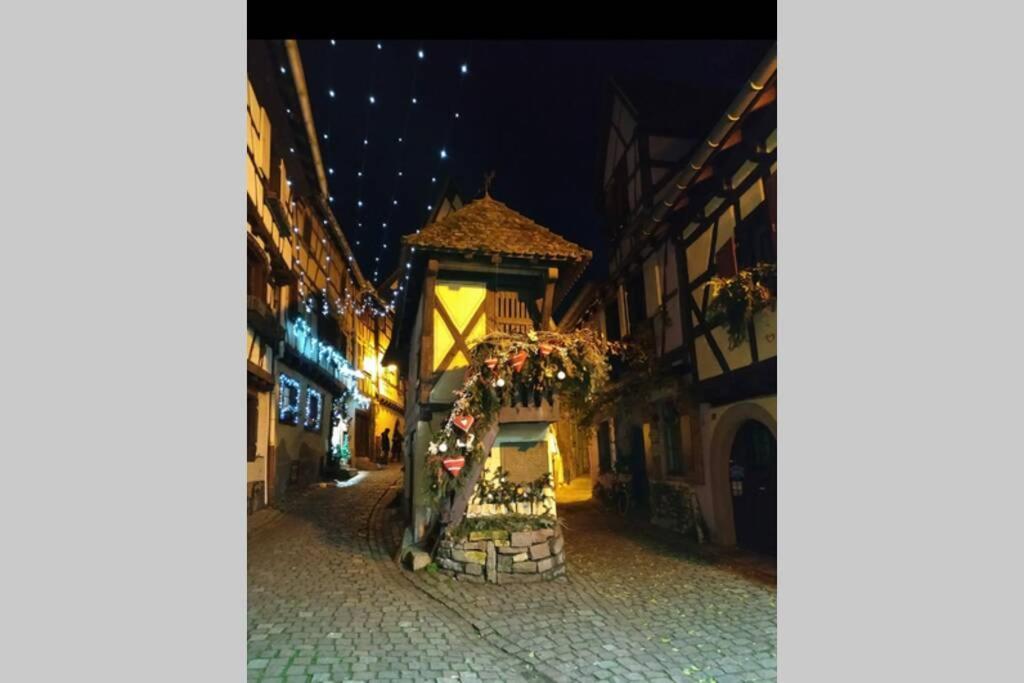 Gite A Eguisheim Proche De Colmar Et Kaysergberg. מראה חיצוני תמונה
