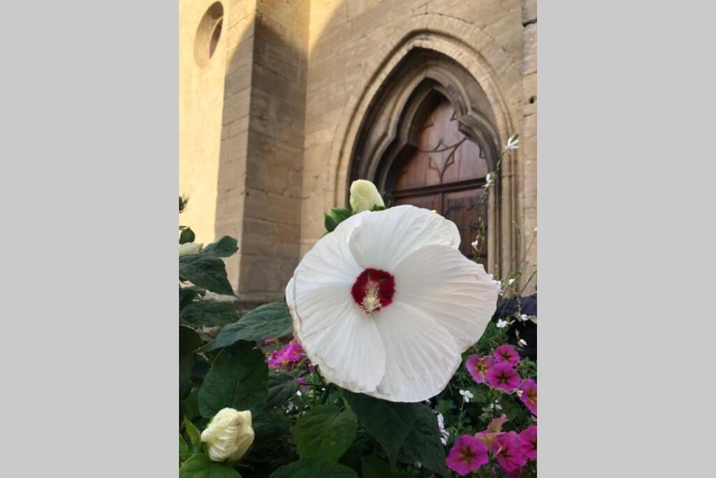 Gite A Eguisheim Proche De Colmar Et Kaysergberg. מראה חיצוני תמונה