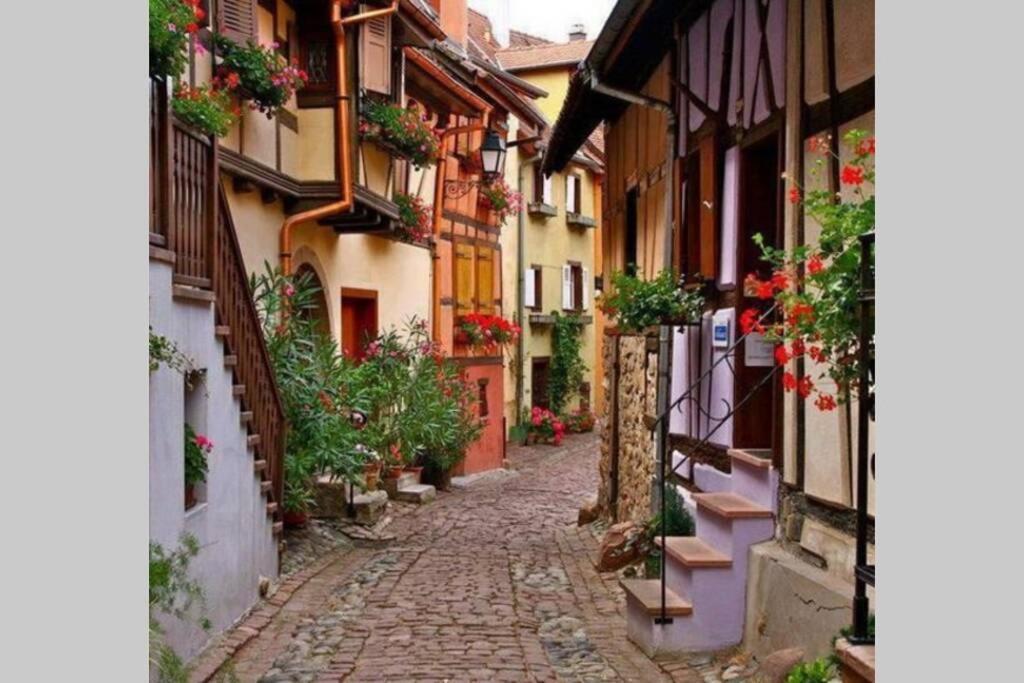Gite A Eguisheim Proche De Colmar Et Kaysergberg. מראה חיצוני תמונה